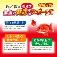 金魚元気 ケアウォーター 計量キャップ付 国産 300ml 1個 ジェックス