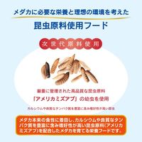 メダカ元気 育てる栄養フード 52g 無着色 観賞魚 1個 ジェックス