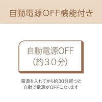 KOIZUMI USB給電ヘアアイロン KHS8550N 1個