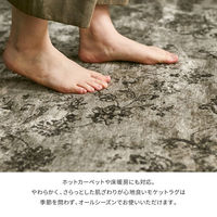 【玄関渡し】 萩原 ベルギー製モケットラグ　ロイヤルパレス　ビオレッタ ブラウン 195×250cm（直送品）