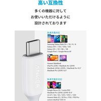 Anker USB Type-Cケーブル 3m - USB-C[オス] PowerLine 1本 アンカー