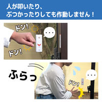 ELPA 窓ピタッアラーム 衝撃検知2P ASA-S11-N2P（W） 1個