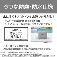 東芝 TY-WSP50（H） 1台