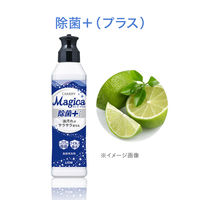 CHARMY Magica(チャーミーマジカ) 除菌タイプ 詰替570mL 1本 【旧品】