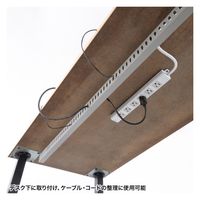 サンワサプライ 配線ダクト（W25×H45×D1000mm） CA-D30L 1個（直送品）