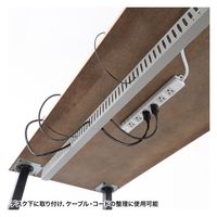 サンワサプライ 配線ダクト（W33×H65×D1000mm） CA-D31L 1個（直送品）