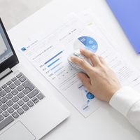 サンワサプライ 静音ワイヤレスブルーLEDマウス(充電式・5ボタン) MA-WBS520W 1個