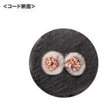 サンワサプライ 電源延長コード TAP-EX22-20BK 1本