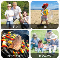 ベスト・アンサー コンパクトチェア 伸縮タイプ S ブラック aut-057-cc-s-bk 1台（直送品）