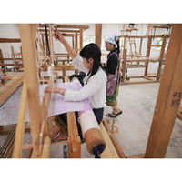 アンドウガラ紡のミニハンカチ【抗菌防臭加工】1764600-0009 9花紫（直送品）