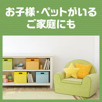 アースジェット 殺虫剤 スプレー ハエ 蚊 ゴキブリ 他 幅広い害虫駆除 退治に 1箱（30本：2本×15パック入） アース製薬