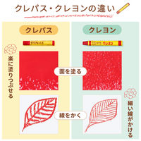 サクラクレパス  クレパス 太巻 ゴムひも付き 1セット（16色入）　 オイルパステル クレヨン　LP16R