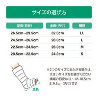 アルケア キャストシュー・WP L 17732 1個