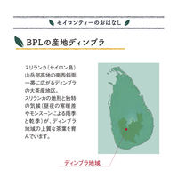 【 紅茶 ティーバッグ 】 BPL セイロンティーガーデンズ アールグレイ 1箱 100袋　［大容量］