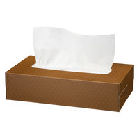 ティッシュペーパー 200組 （5箱入）×12パック オリジナルティッシュ モカ 5カラー 1ケース（60箱入） アスクル  オリジナル