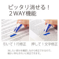 プラス ホワイパーパル 3個 ブルー WH-035-3P 1パック(3個)