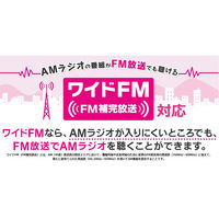 ソニー　LEDライト搭載　AM/FM対応手回し充電ラジオ　B09シリーズ　ホワイト　ICF-B09 W　1台