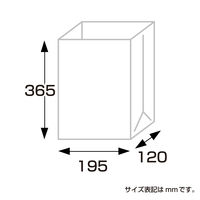 ササガワ ギフトバッグ 角底袋 未晒 超特大 50-3801 1袋(100枚入)