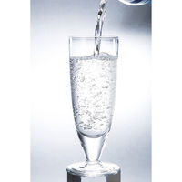 ポッカサッポロ サッポロクリアタンサン 600ml PET 1箱（24本入）