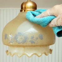 リビングクリーン300mL 1個 日本ミラコン産業