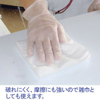 【不織布ウエス】 大王製紙 エリエールプロワイプストロングタオルE50ホワイトポリ包装50 1ケース（50枚入×18パック）