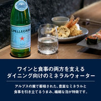 モトックス サンペレグリノ 250ml 1セット（48本）