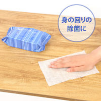 ウェットティッシュ　除菌シート　アルコールタイプ　アルコール除菌　詰め替え　1セット（100枚入×5個）
