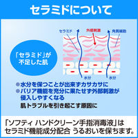 花王 ソフティ ハンドクリーン手指消毒液 1L 508775 1箱(6本入)