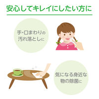 ウェットティッシュ 除菌シート 日本製紙クレシア スコッティ　除菌ノンアルコール 本体 76970 1個（100枚入）