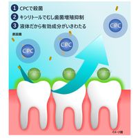 ロングスピンX　13mL ミント 1箱（100個入） オキナ マウスウォッシュ ポーションタイプ 個包装