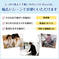 ビオレu 泡で出てくるハンドソープ マイルドシトラスの香り 業務用詰め替え2L 1個  花王 【泡タイプ】