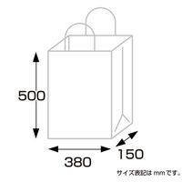 ササガワ 手提げバッグ 10Pエメラルド 特大 50-6408 1袋(10枚入)
