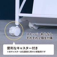 林製作所 スタンダードファイルラックワゴン ベーシック2段 YS-K14 1台 幅530×奥行350×高さ720mm  斜め型 キャスター付き