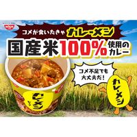日清食品 日清カレーメシ 欧風ビーフ　　1箱（6食入）