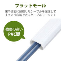 エレコム　マルチ対応モール（両面テープ付）　壁用モール　ホワイト　長さ1m×幅17mm　LD-GAF1/WH　1本（直送品）