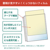 リヒトラブ(LIHIT LAB.) 26穴クリヤーポケットB5 G49060 1袋（20枚入）
