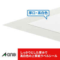 エーワン（A-one）ラベルシール ハイグレード 表示・宛名ラベル プリンタ兼用 封筒 シール  A4 24面 100シート 徳用 76324