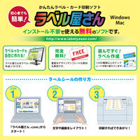 エーワン（A-one）ラベルシール 表示・宛名ラベル 再生紙 レーザー 封筒 シール ステッカー A4 10面  500シート 徳用 31647