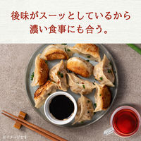 伊藤園 ヘルシールイボスティー 600ml 1セット（48本） お茶 カフェインゼロ ノンカフェイン