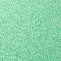 サンワサプライ メディカルスツール グリーン 円盤脚 SNC-RD6VG 1脚