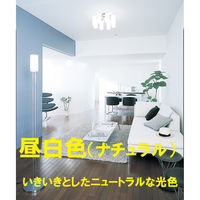 パナソニック　三波長形蛍光ランプ　40W形　グロースタータ形　昼白色　FL40SSENW372K　1箱（2本入）