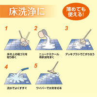 ニューケミクール（E-1） バッグインボックス詰替 20kg 1個 油汚れ用強力洗浄剤 ニイタカ