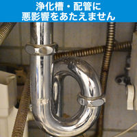 バイオタブレット　1パック（2個入）（直送品）