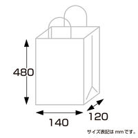ササガワ 手提袋 一升瓶 1本用 50-6929 1袋(10枚入)