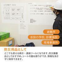 セーラー万年筆 どこでもシート 方眼入り 31-3803-000 1箱(25シート入)