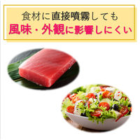 ライオガードアルコール アルコール除菌 業務用 大容量 詰替え 2L 1個 ライオン