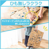 キリンビバレッジ アルカリイオンの水 2L 1箱（9本入）