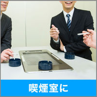 エステー 消臭力 業務用 ワイドスプレー タバコ用ミントグリーン 450ml 1本　（旧ブランド名：サニティー）（直送品）