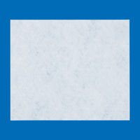 オフィスのおそうじ　しつこい汚れ用　1個（20枚入）　帝人フロンティア オリジナル