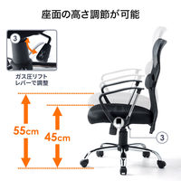 サンワサプライ ローバックネットチェア オフィスチェア 肘付 ブラック SNC-AS2BK 1脚 メッシュチェア 脚幅600mm 事務椅子（直送品）